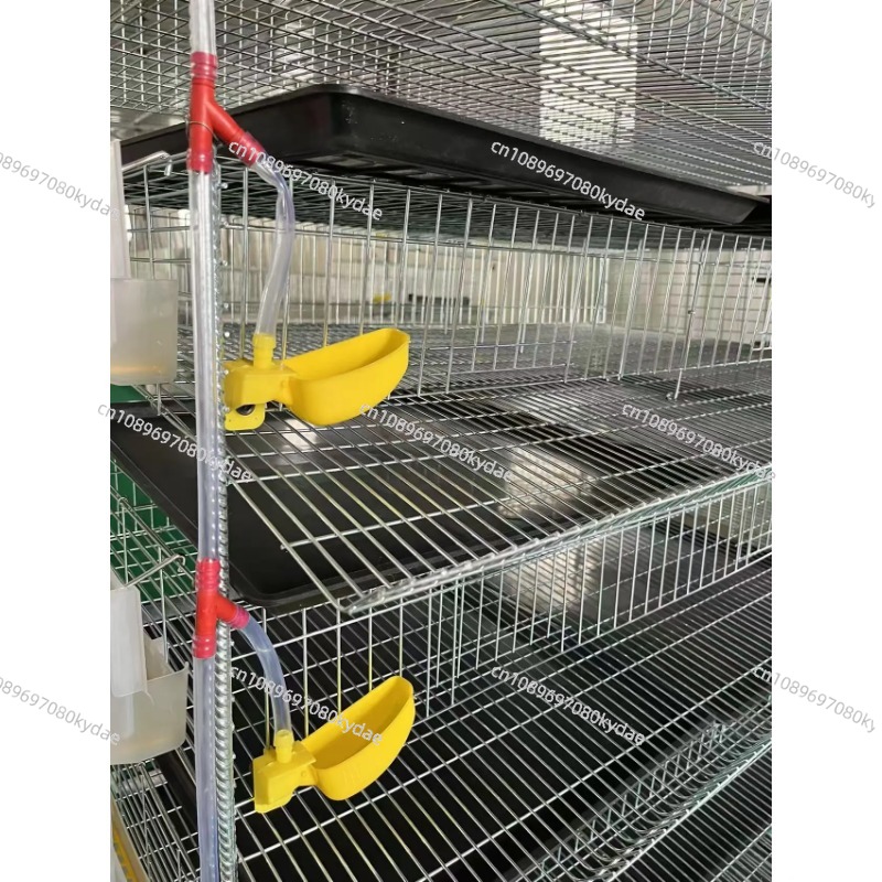 H Type Battery Layer Quail Bre - Rabbit Cage Wire review and price