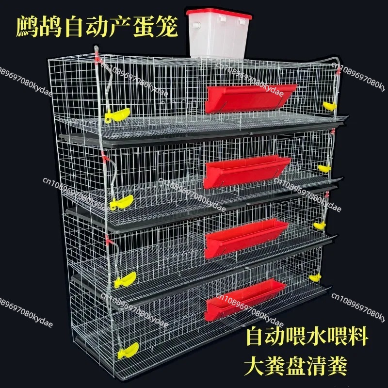 H Type Battery Layer Quail Bre - Rabbit Cage Wire review and price