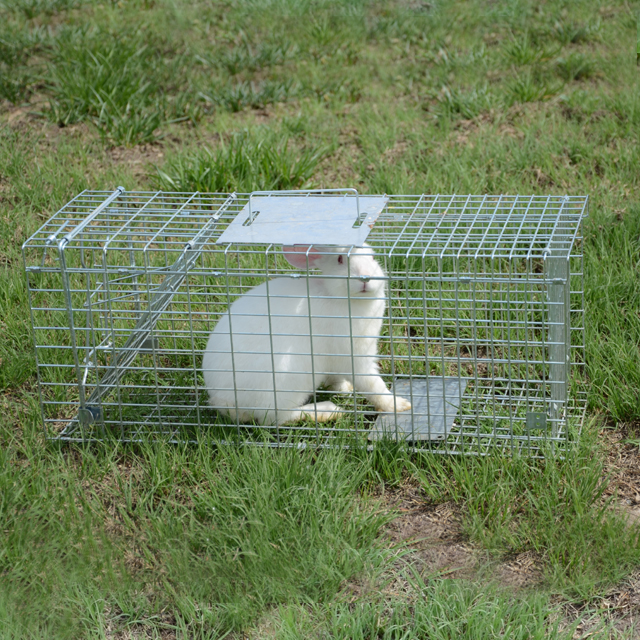 Automatic Metal Mouse Cage Tra - Rabbit Cage Wire review and price
