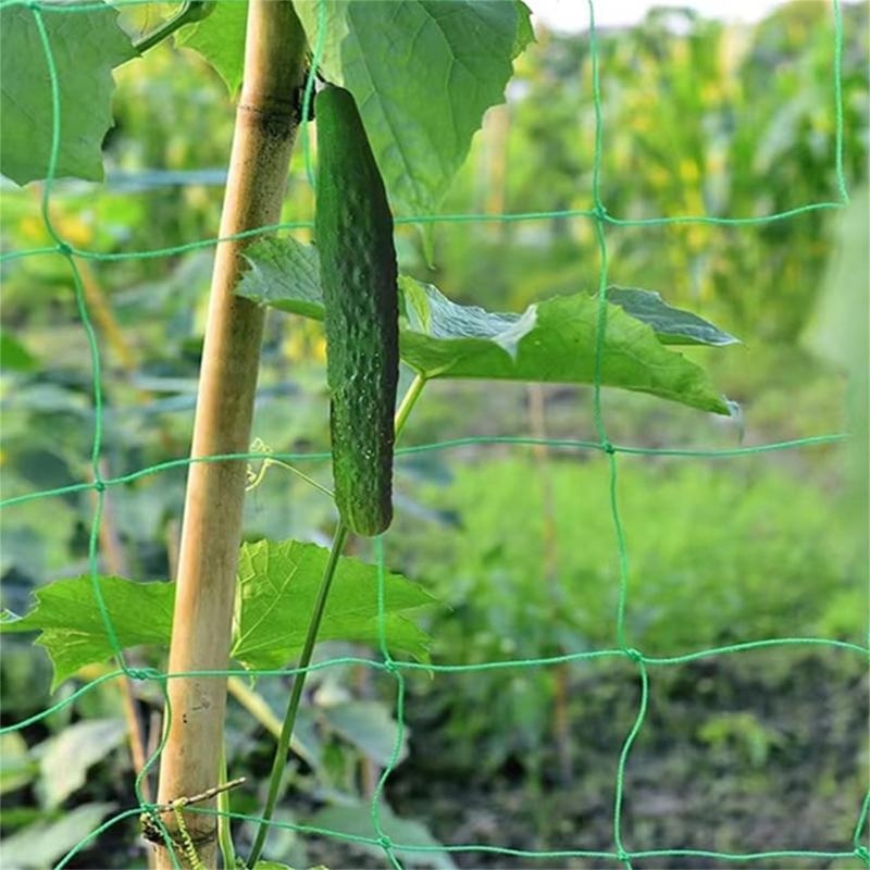 Mesh 9 Strands Agricultural Vi - Agriculture Farming Net review and price