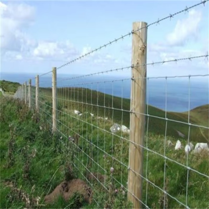 Customized Iron Wire Mesh Fixe - Farming Agriculture & Cooking review and price