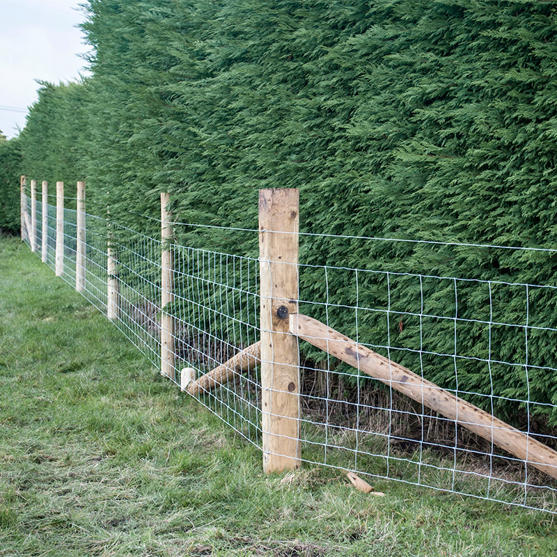 Customized Iron Wire Mesh Fixe - Farming Agriculture & Cooking review and price