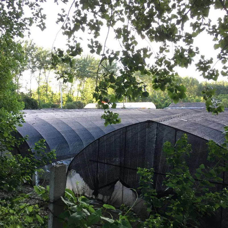 35~80% Shading Anti-UV Black H - Agriculture Farming Net review and price