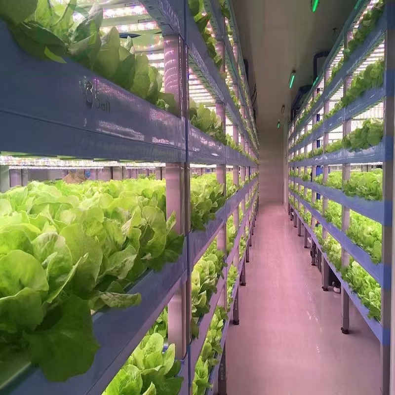 Custom Agricultural Greenhouse - Agriculture Farming Systems review and price