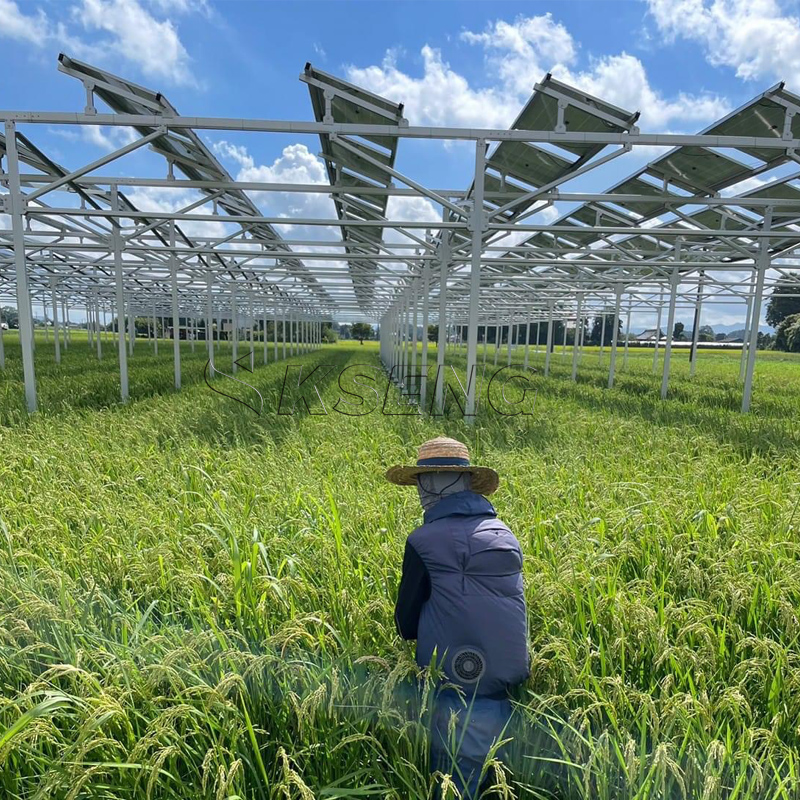 Japan`s New Agriculture Alumin - Sustainable Agriculture/Farming review and price