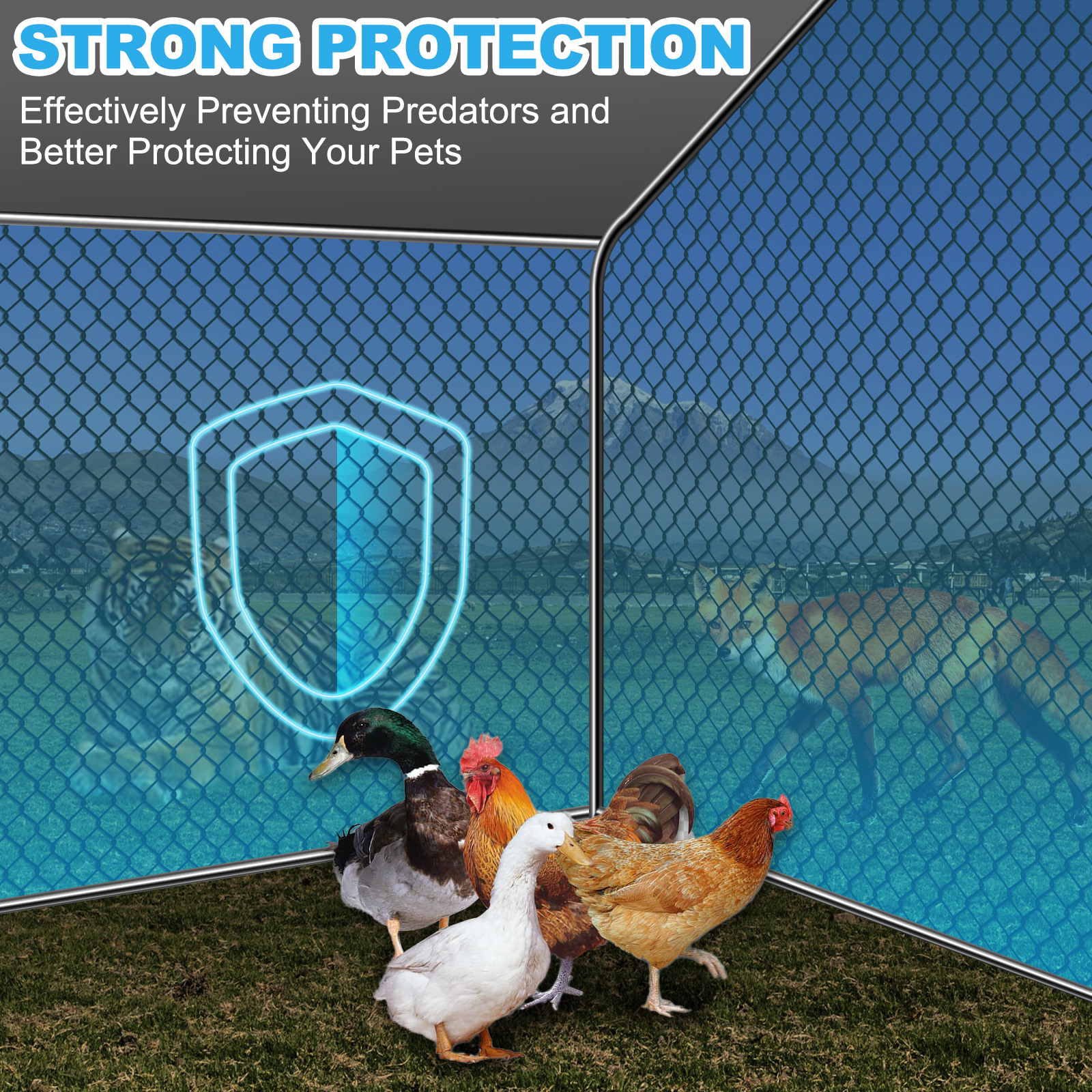 Teousev 10x 10 ft Metal Chicke - Rabbit Cage Wire review and price