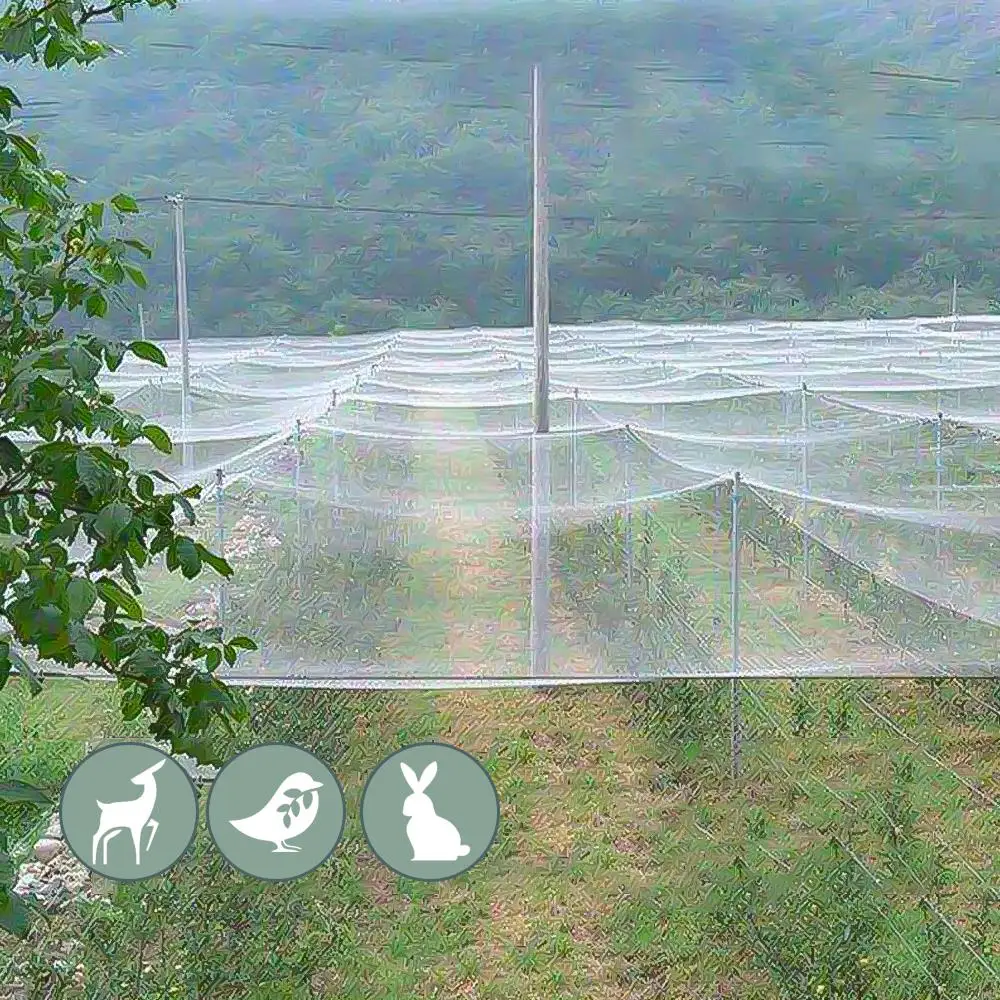 Extra Strong Anti Bird Net Nyl - Rabbit Cage Wire review and price