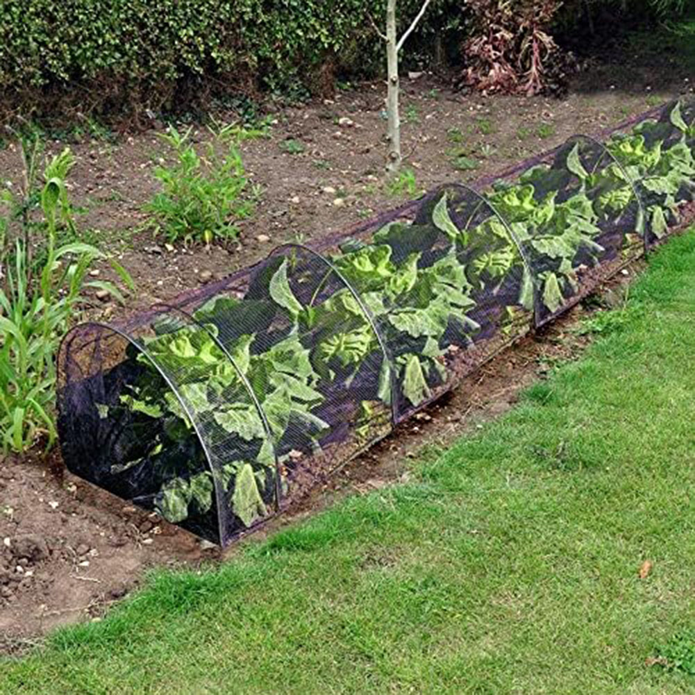 1PC Agricultural Black Mesh Pl - Agriculture Farming Net review and price